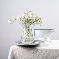 Stilleven van gipskruid op tafel