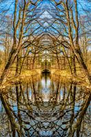 Symmetry landscape with reflection of trees in autumn in a pond