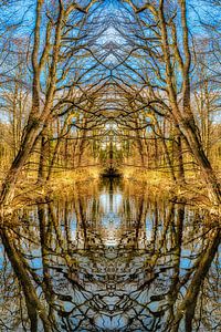 Symmetrisch landschap met weerspiegeling van bomen in de herfst in een vijver van Dieter Walther