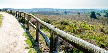 Bergpassage in Nationaal Park Veluwezoom