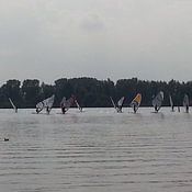 Iris Blonk Profile picture