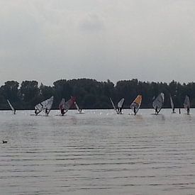 Iris Blonk Profile picture