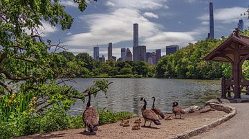 New York  Central Park von Kurt Krause