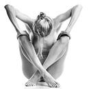 Very beautiful sexy naked woman. Photo in black and white #4418 by Photostudioholland thumbnail