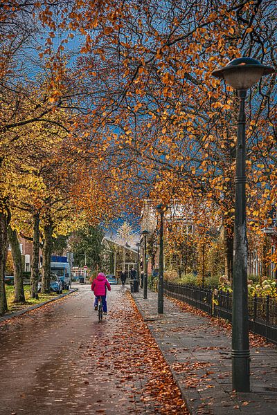 Leeuwardens Noordersingel in Herbstfarben von Harrie Muis