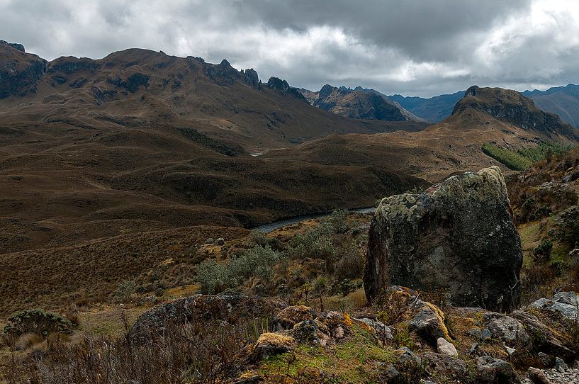 Ecuador: El Cajas National Park (Azuay) van Maarten Verhees