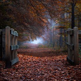 Planken Wambuis Teil 167 von Tania Perneel