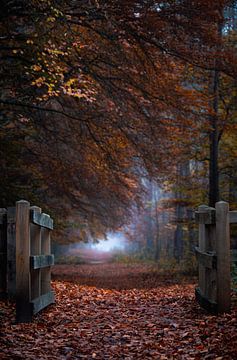 Planken Wambuis part 167 by Tania Perneel