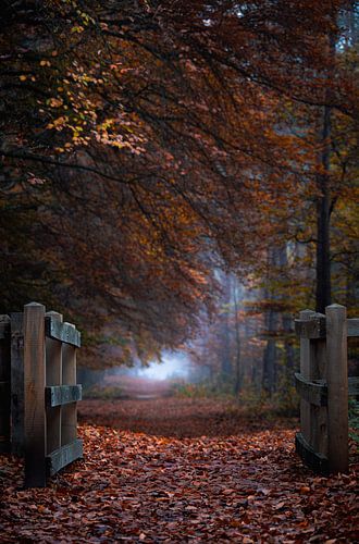 Planken Wambuis part 167