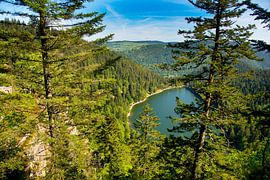 Lac des Corbeaux in den Vogesen von Tanja Voigt
