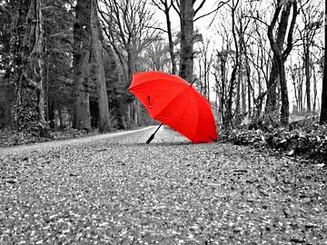 "the red umbrella" / " de rode paraplu" van Pascal Engelbarts