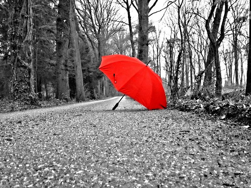 &quot;the red umbrella&quot; / &quot; de rode paraplu&quot; by Pascal Engelbarts