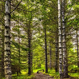 Landscape photograph Iceland by VIDEOMUNDUM
