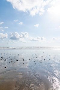 Réflexions sur le littoral - L'harmonie entre le ciel et la terre