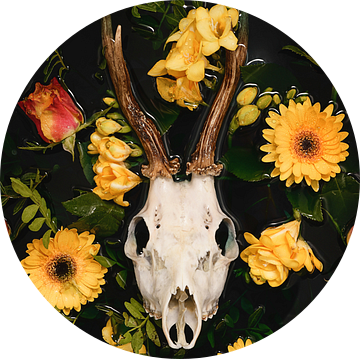 Dia de los Muertos - Herten schedel - Reebok gewei van Nikki Segers