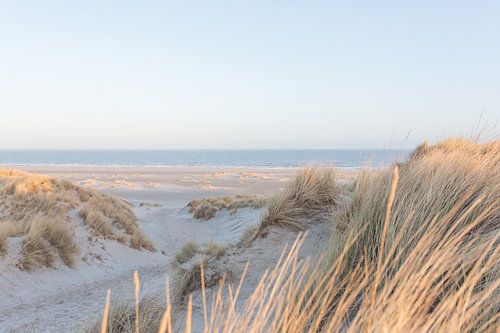 Strand op Terschelling in de vroege ochtend