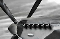 Spitfire Propeller par Jan Brons Aperçu