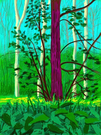 Electric Forest Pulse von Chromapetal