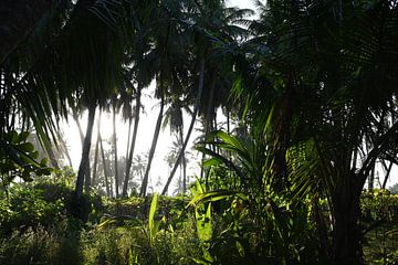 MALEDIVEN 3 von Miroslav Ptacek