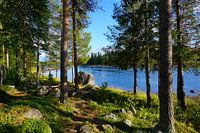 De rivier Vindelälven in Zweeds Lapland in een prachtig landschap