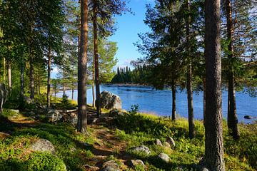 De rivier Vindelälven in Zweeds Lapland in een prachtig landschap van Thomas Zacharias