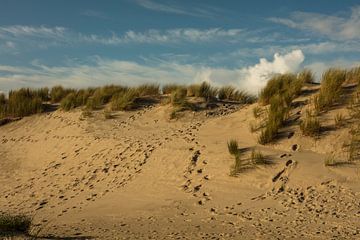 duinen bij oostkapelle van anne droogsma