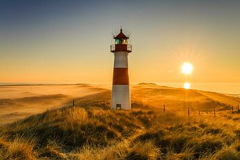 Golden Light on the Horizon