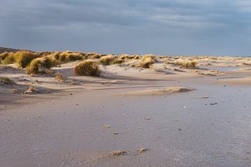 Winter beach with dune pollen by Monique Wooning