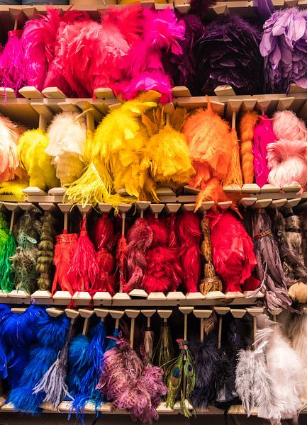 Colour, colour, colour by Annelies Martinot