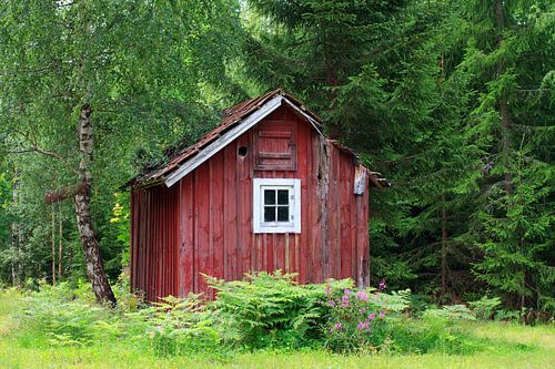 SMALAND Krokshult Natuurreservaat - faluroed stuga