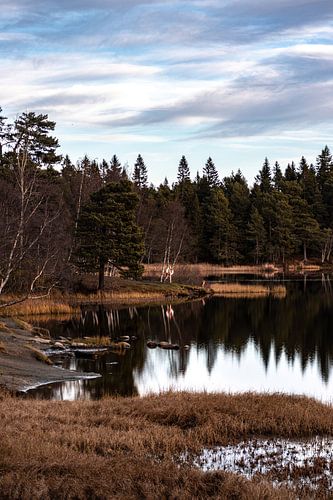 Lake Lian (Liansvatnet) on a quiet day just outside Trondheim in Norway