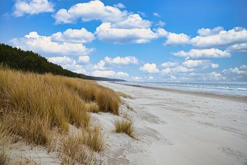 Uitzicht over het strand op Usedom met duinen aan de ene kant en de Baltische Zee aan de andere kant van Martin Köbsch