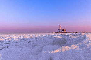 Paard van Marken  van Lisa Antoinette Photography