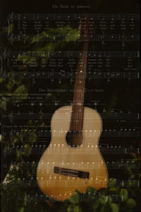 Melodie der Nacht