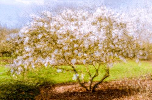 Pointillisme