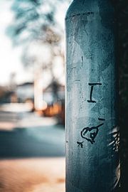 I love... by Daniëlle Langelaar Photography