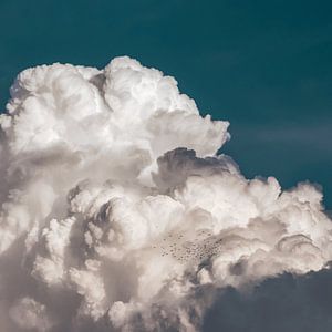 Zwerm vogels in een dik wolkendek in de lucht van Roger VDB