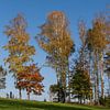 Journée d'automne colorée en Suisse saxonne sur Holger W. Spieker