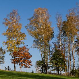 Zonnige herfstdag met bomen van Holger Spieker