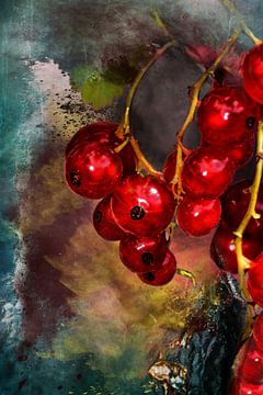 Rote Waldbeeren von Harry Stok