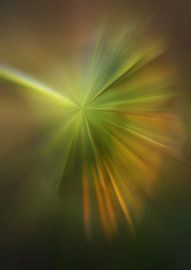 Fleur moderne Tournesol