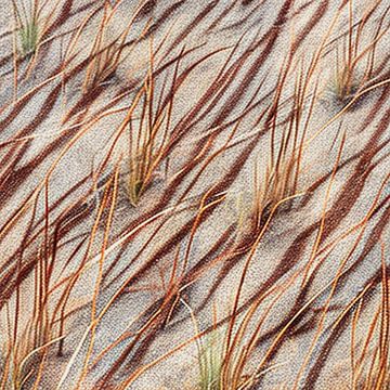 Het gefluister in het zand van Vythryd Arts