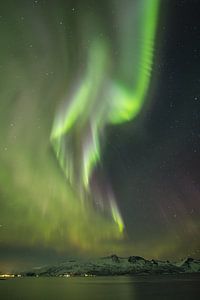 Nordlichter über den Fjorden von Norwegen von Marco Verstraaten