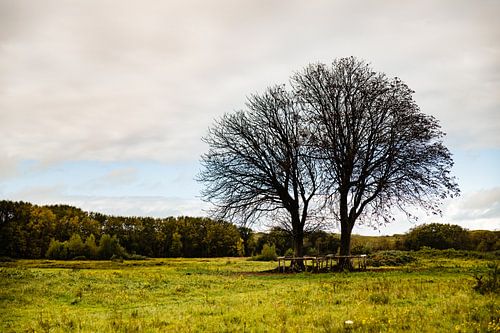 Herfst op Lentevreugd
