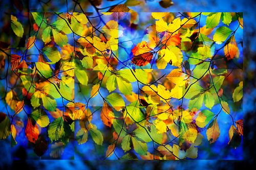Automne