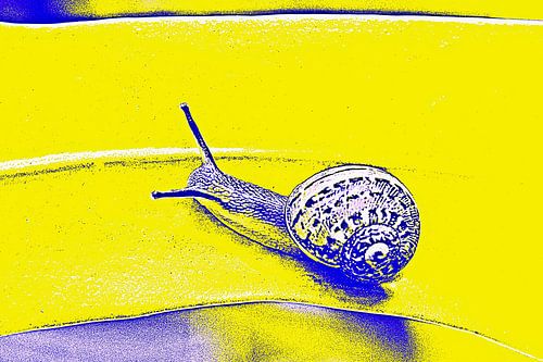 Snail mail mixed media