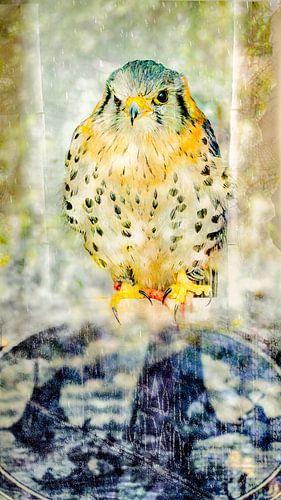 Lustiges Foto eines holländischen Vogeltreffs