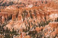 Bryce Canyon National Park by Marlies van Zetten thumbnail