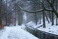 Het bos in de winter tijdens sneeuw van Discover Dutch Nature thumbnail