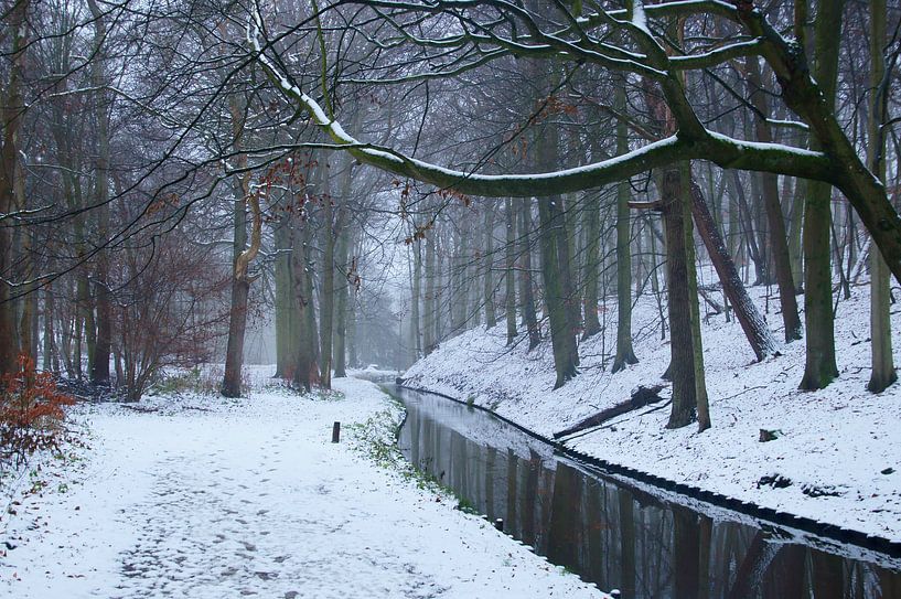 Het bos in de winter tijdens sneeuw van Discover Dutch Nature